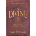 A Divine Re: The More Excellent Way