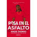 Rosa En El Asfalto