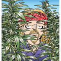 The Weed Whisperer: A Doonesbury Book Volume 36