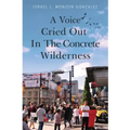 A Voice Cried Out In The Concrete Wilderness