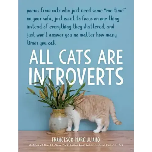 All Cats Are Introverts