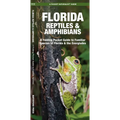 Florida Reptiles & Amphibians: A Folding Pocket Guide to Familiar Species of Florida & the Everglades