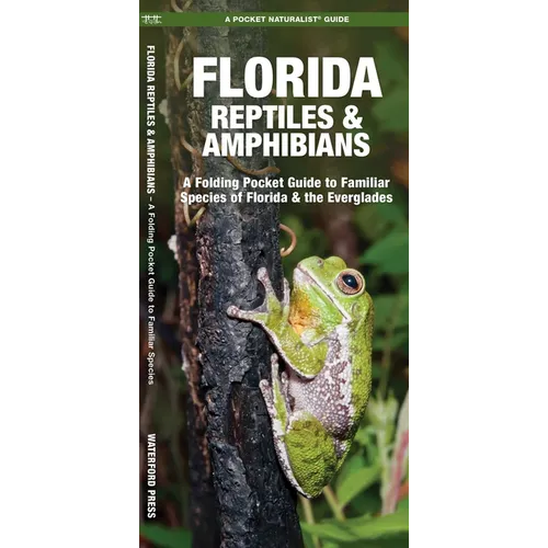 Florida Reptiles & Amphibians: A Folding Pocket Guide to Familiar Species of Florida & the Everglades