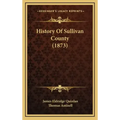 History Of Sullivan County (1873)