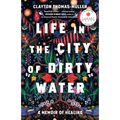 Life in the City of Dirty Water: A Memoir of Healing