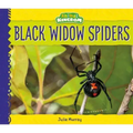 Black Widow Spiders