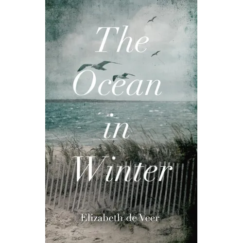 The Ocean in Winter
