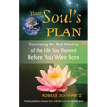 Your Soul's Plan: Discovering the Real Meaning of the Life You Planned Before You Were Born