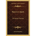 There Is a Spirit: The Nayler Sonnets