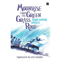 Moonrise From the Green Grass Roof