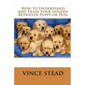 How to Understand and Train Your Golden Retriever Puppy or Dog
