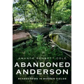 Abandoned Anderson, Indiana: Scarecrows in Barren Fields