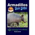 Armadillos For Kids