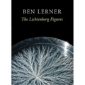 The Lichtenberg Figures