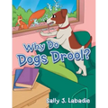 Why Do Dogs Drool?
