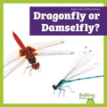 Dragonfly or Damselfly?