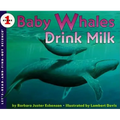 Baby Whales Drink Milk