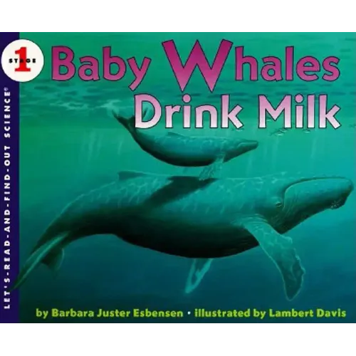 Baby Whales Drink Milk