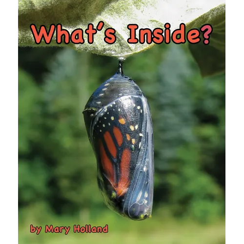 What's Inside?
