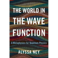 The World in the Wave Function: A Metaphysics for Quantum Physics