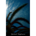Spiritual Conferences