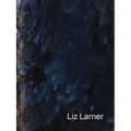 Liz Larner