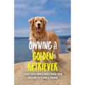 Owning A Golden Retriever: Things Every Owner Should Know, From Breeding To Feeding & Training: The Best Breeding Practices For Golden Retrievers