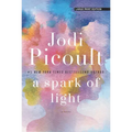 A Spark of Light
