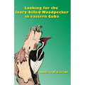 Looking for the Ivory-billed-Woodpecker in eastern Cuba