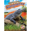 Alligators