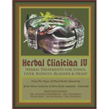 Herbal Clinician IV: Herbal Treatments For Lungs, Liver, Heart, Kidneys & Bladder
