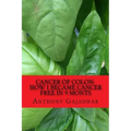 Cancer of Colon-How I became cancer free in 9 monts: Cancer can be cured-very little expense