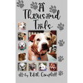 A Thousand Tails