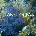 Planet Ocean: Photo-Journey Through Earth's Most Advanced Civilization