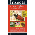 Insects of New England & New York
