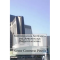 Metodologia Sistemica del Aprendizaje Organizacional
