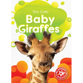 Baby Giraffes