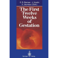 The First Twelve Weeks of Gestation