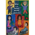 What is a Perfect World?