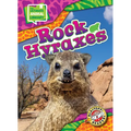Rock Hyraxes