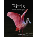Birds: Intimate Images