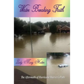 Water Breaking Faith: The Aftermath of Hurricane Harvey's Path