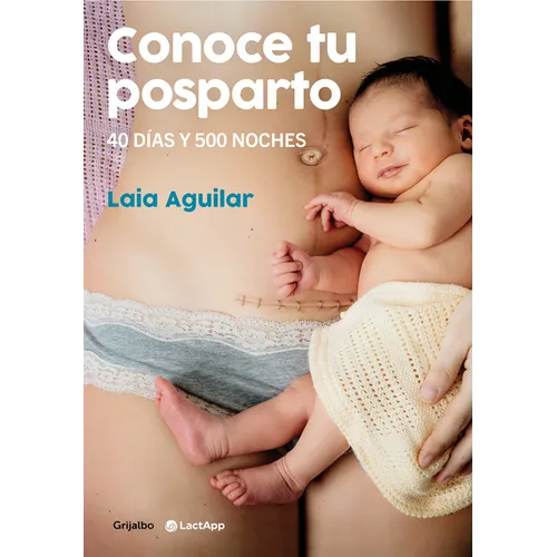 Conoce Tu Posparto: 40 Días Y 500 Noches / Understanding Your Postpartum Stage: 40 Days and 500 Nights