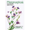 Metamorphosis: Purple Butterflies Dance To Jazz