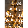 Ganga Review 2022