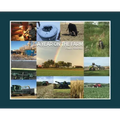 A Year on the Farm