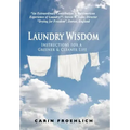 Laundry Wisdom: Instructions for a Greener and Cleaner Life
