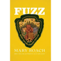 Fuzz: When Nature Breaks the Law