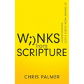 Winks from Scripture: Understanding God's Subtle Work Among Us