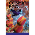 Cosmic Egg